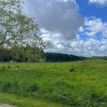Gite Le Village Des Champs Soings-en-Sologne ภายนอก รูปภาพ