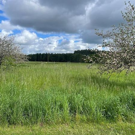 Gite Le Village Des Champs Soings-en-Sologne ภายนอก รูปภาพ