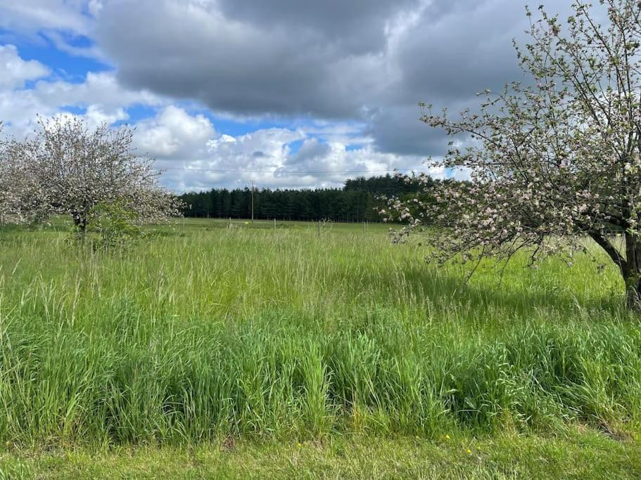 Gite Le Village Des Champs Soings-en-Sologne ภายนอก รูปภาพ